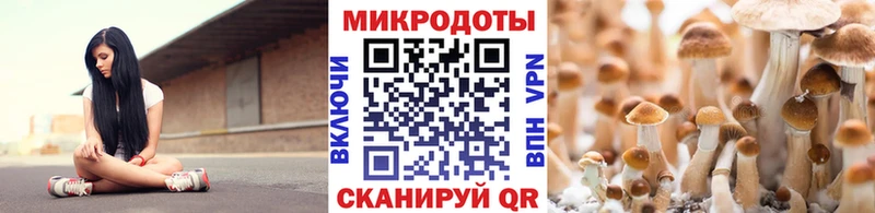 Псилоцибиновые грибы Magic Shrooms  Каргат 