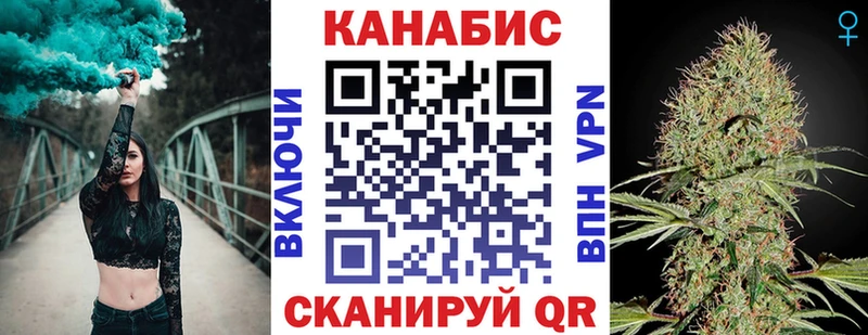 Бошки Шишки планчик  Каргат 